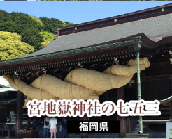 宮地嶽神社の七五三