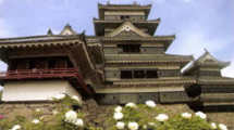 松本城の見所③月見櫓前の牡丹園