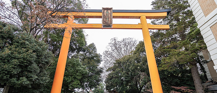 川越 氷川神社